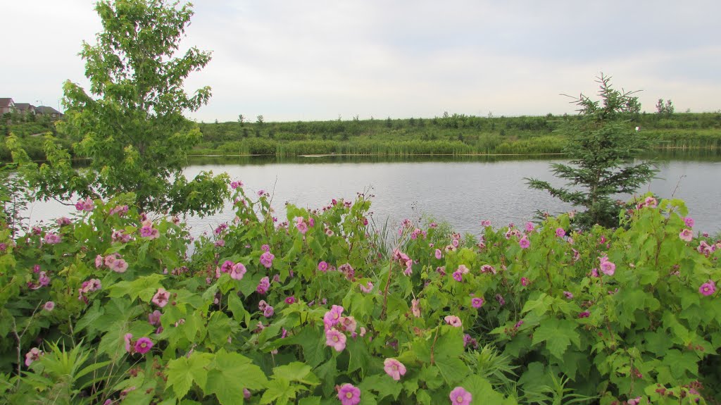 Caledon - Ontario - Canada