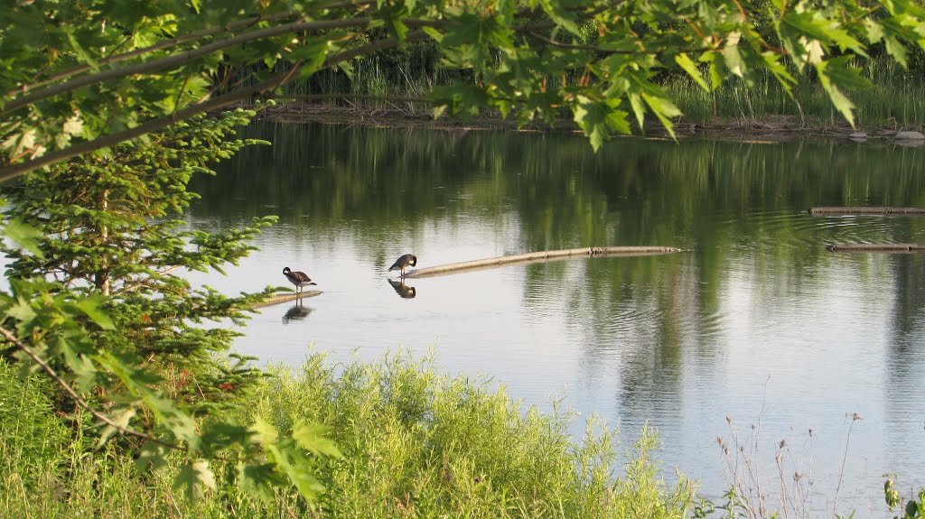 Caledon - Ontario - Canada