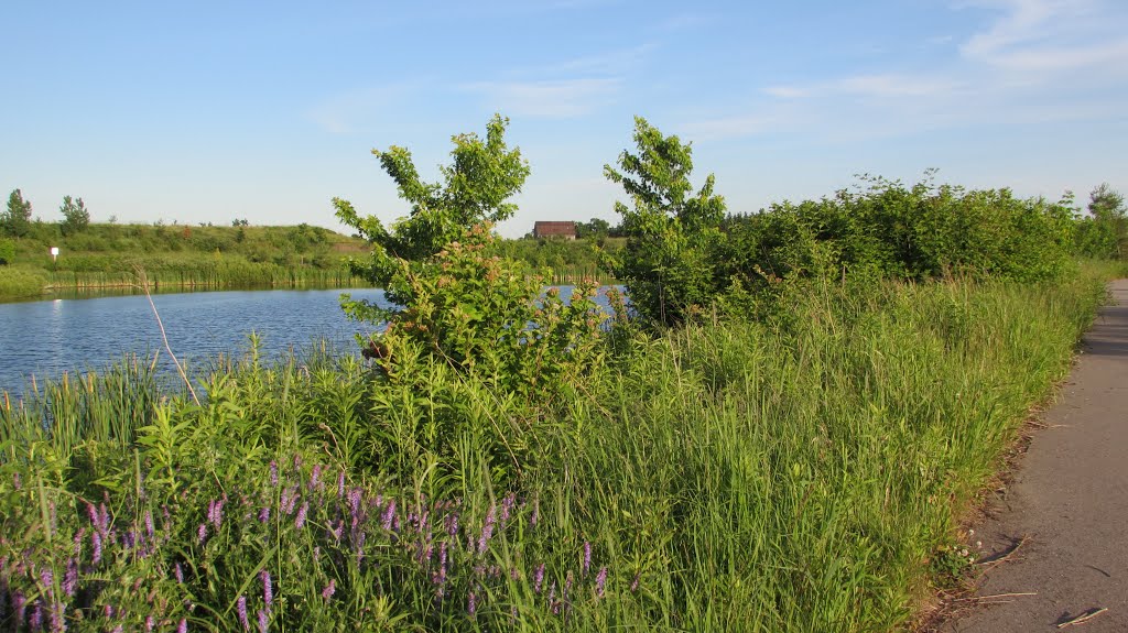 Caledon - Ontario - Canada