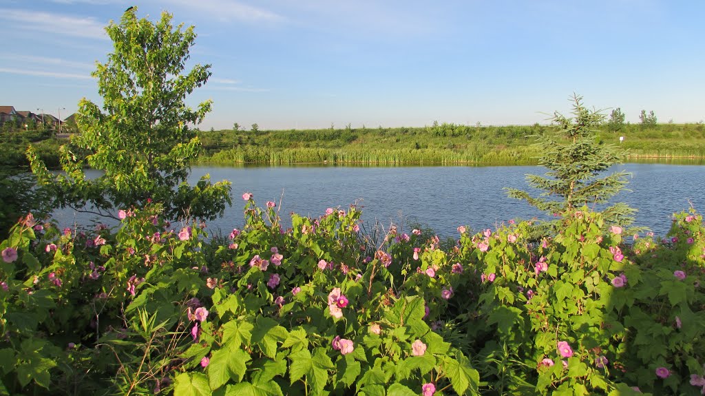 Caledon - Ontario - Canada