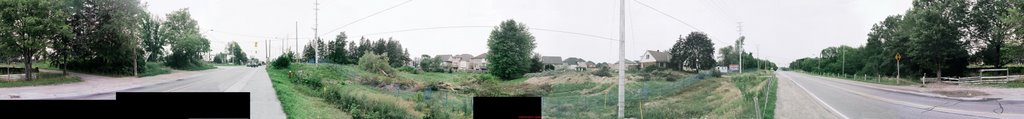 Downed Trees, June 2006