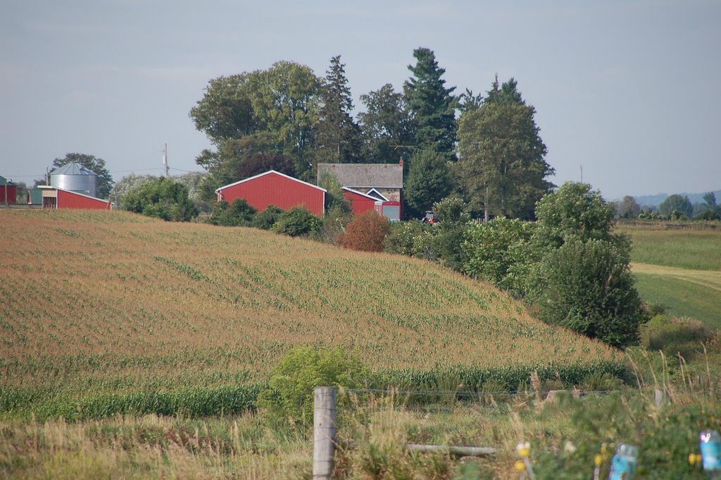 Farm Buildings