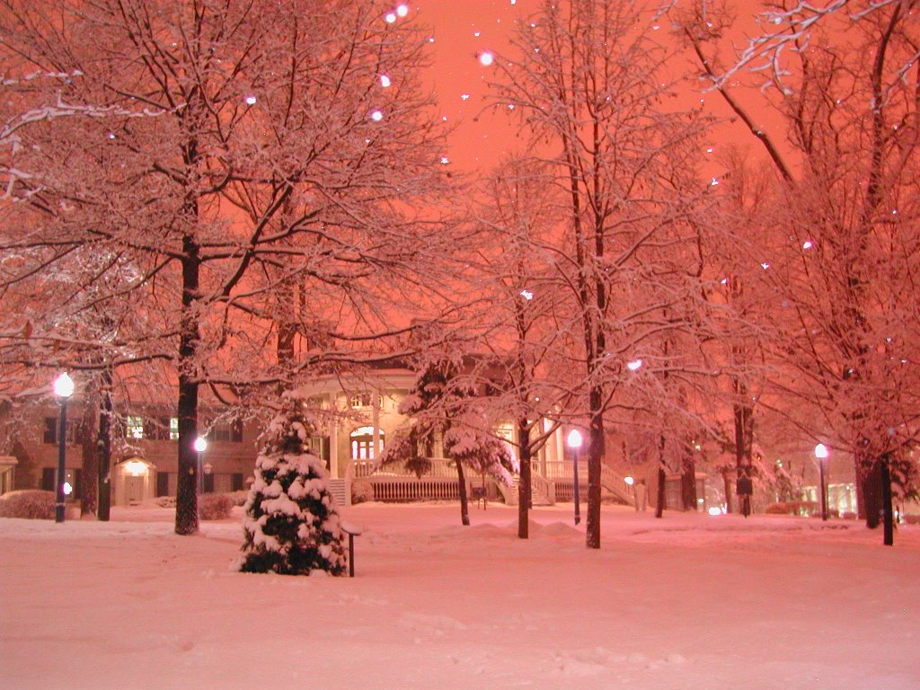 Summerhill, Queens University