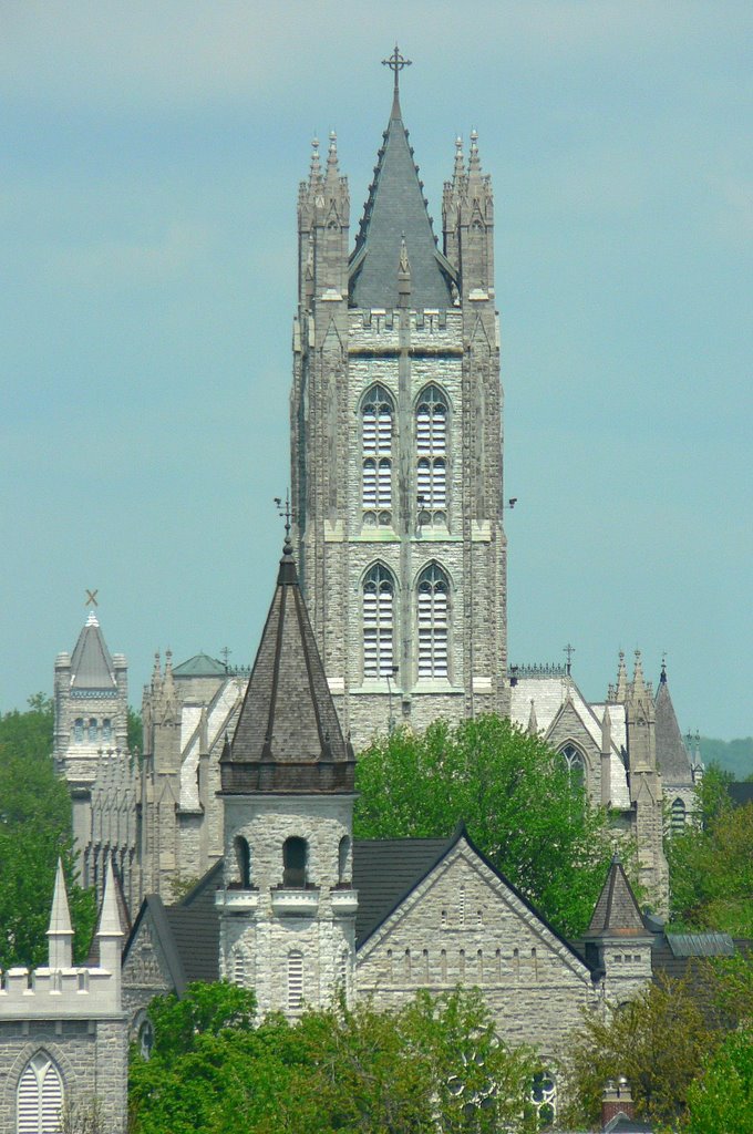 The Cathedral