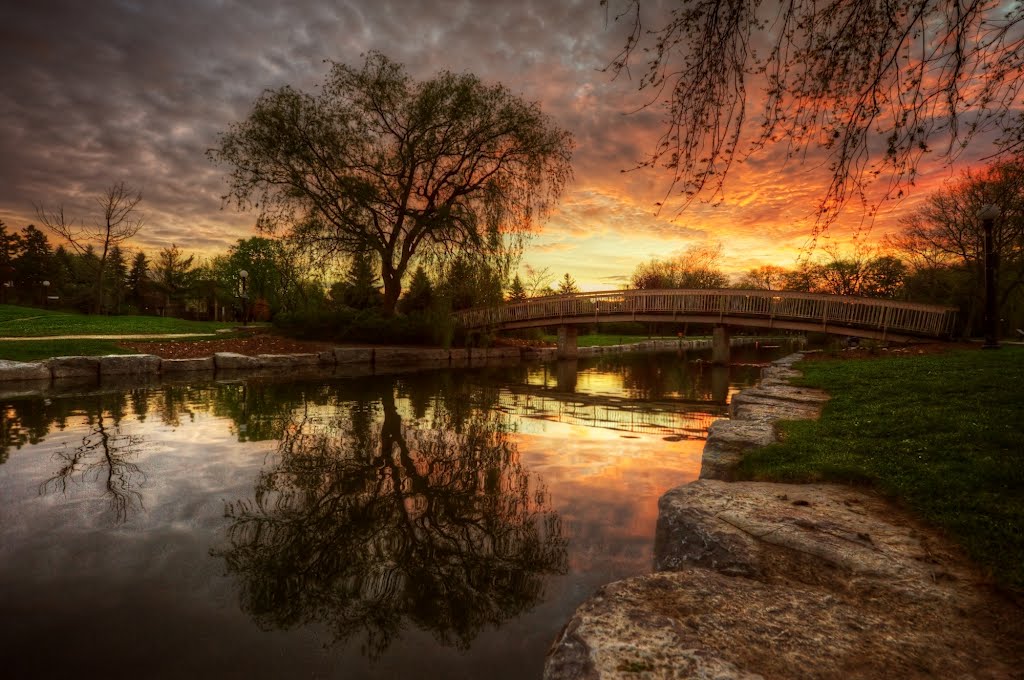 Sunrise in Victoria park