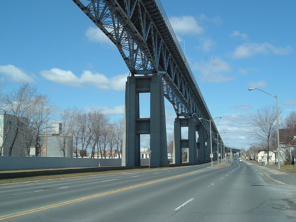Under the bridge