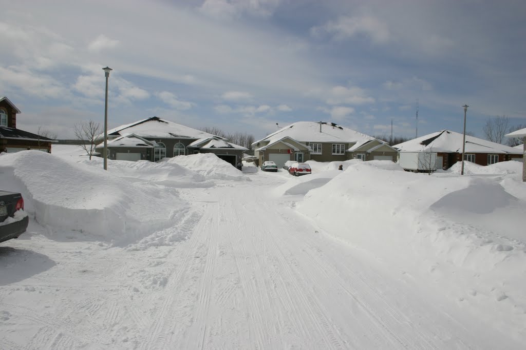 Snow day in Cornwall