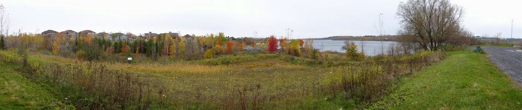town park outskirts