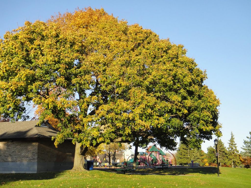 Park