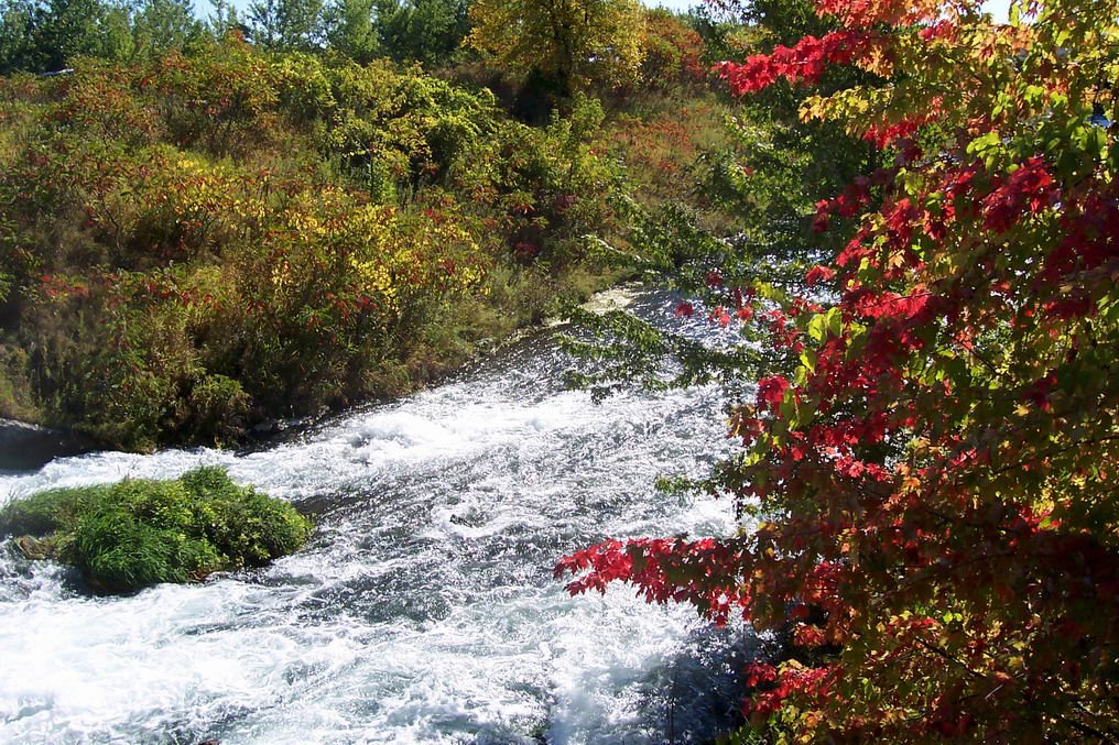 Lautomne est là!  / Irruento autunno