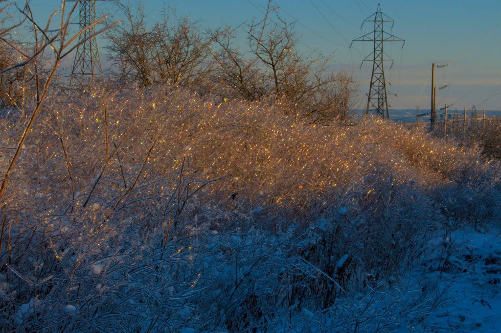 Freezing Rain Ice Colours