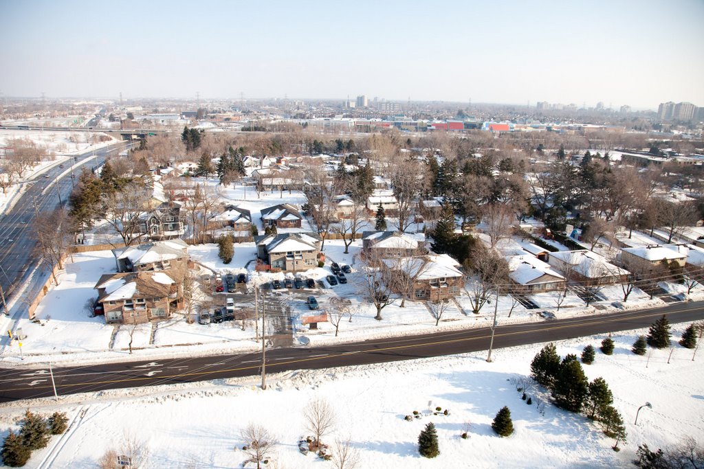 Houses along Francis Road at Plains Road East