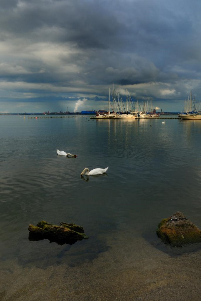 lasalle park