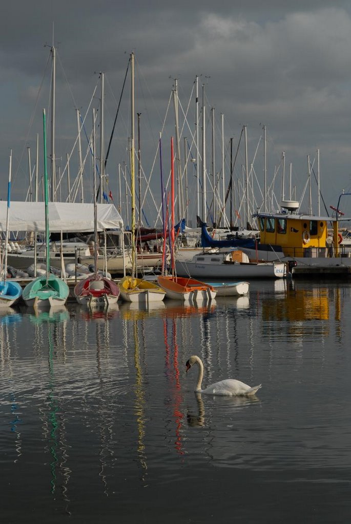 lasalle park