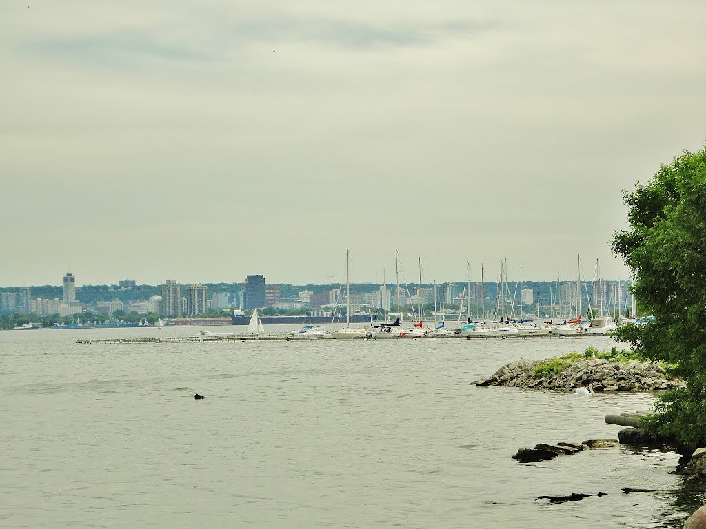 Hamilton....Skyline?