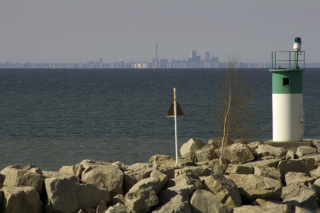 Toronto Skyline