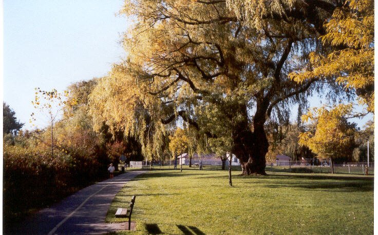 Gibbons Park