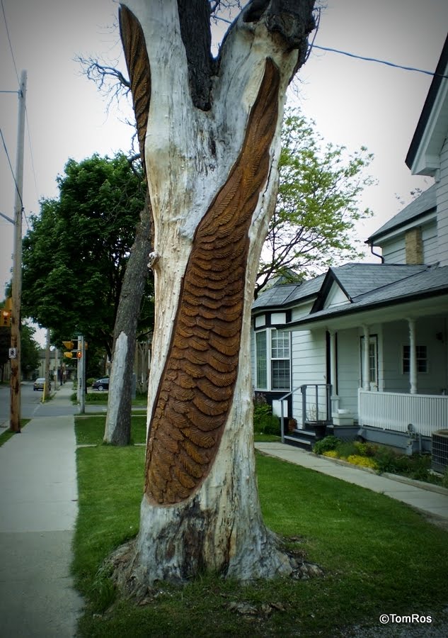 Eagle Tree near Queen Street, 2006 by Robbin Wenzoski