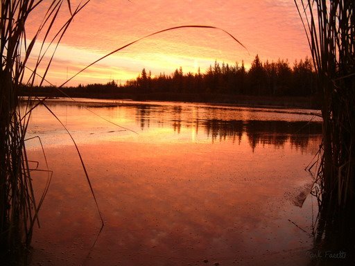 Laurier Woods Sunrise North Bay ON