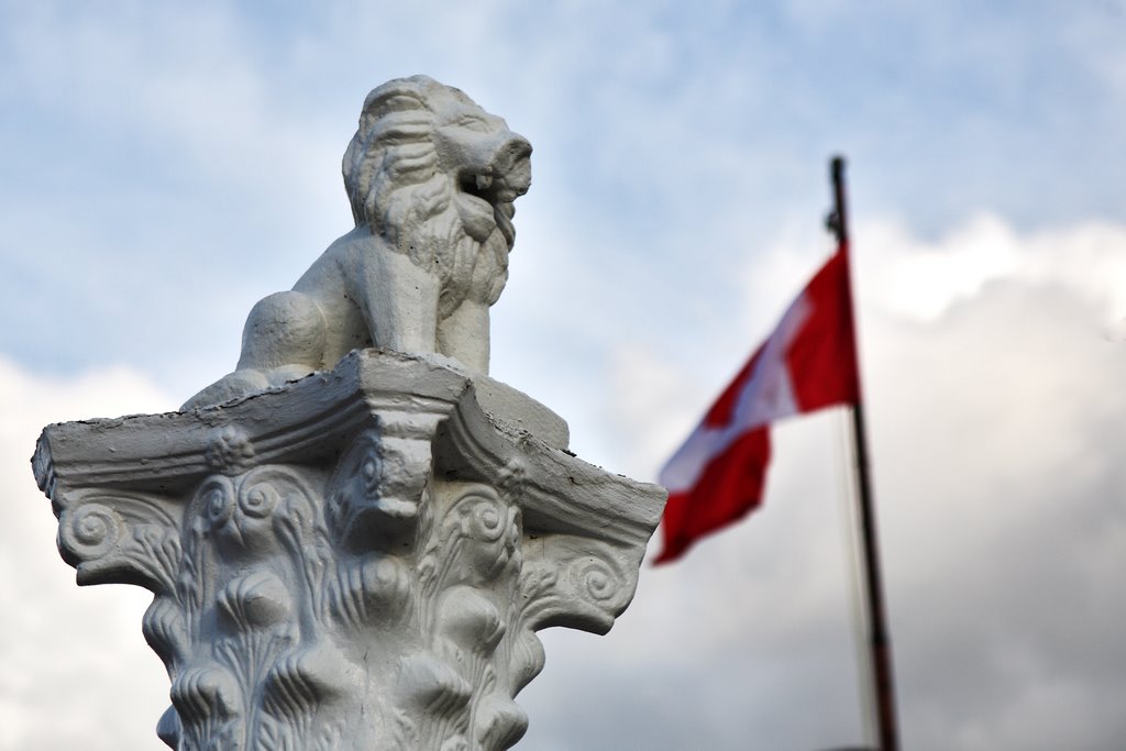 patriotic lion