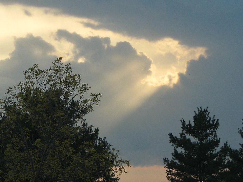 RAYS
