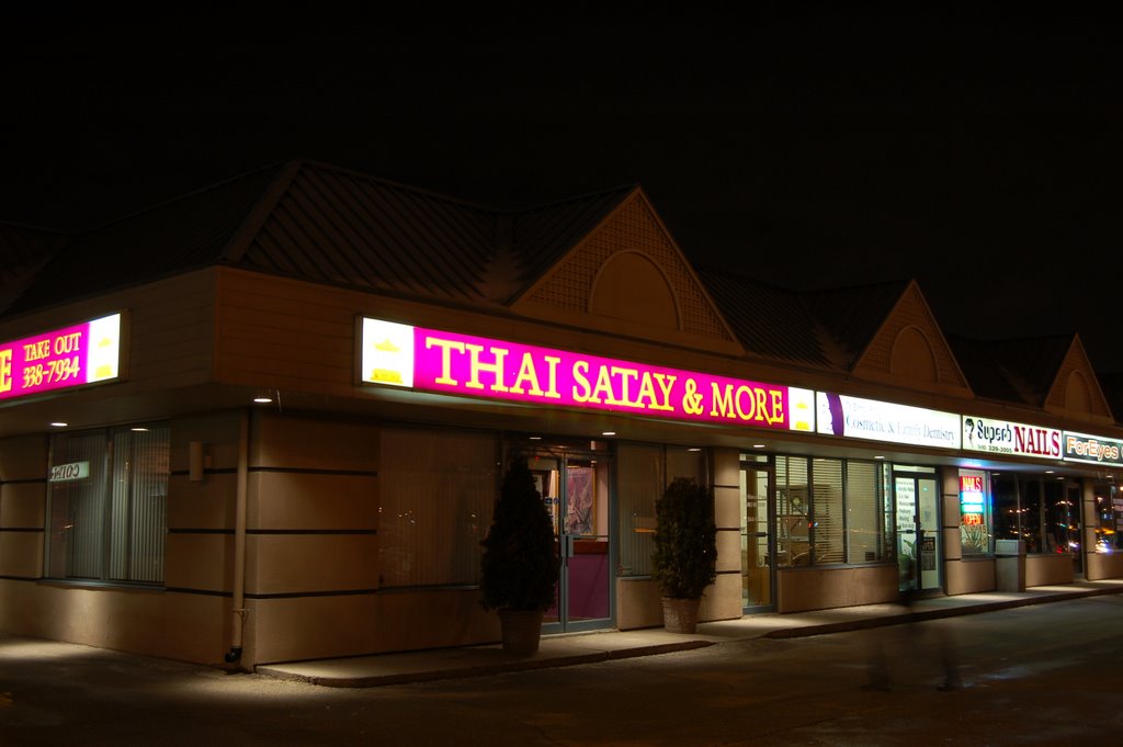 Thai Satay and More
