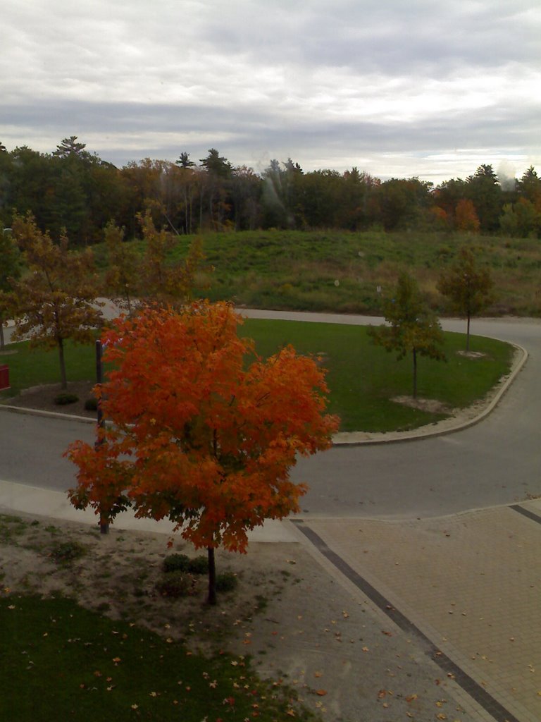 Sheridan College - 15 Oct 2008
