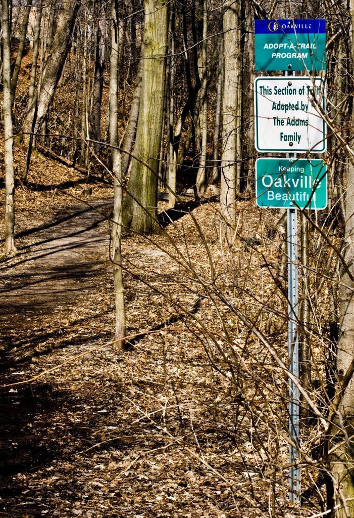 Oakville Trail