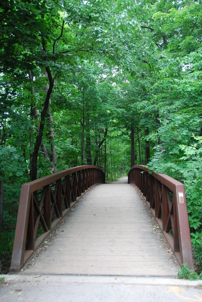 bridge