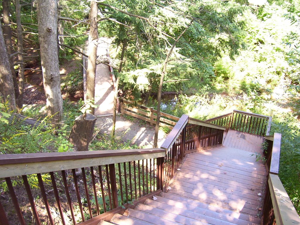 Sheridan Campus Forest