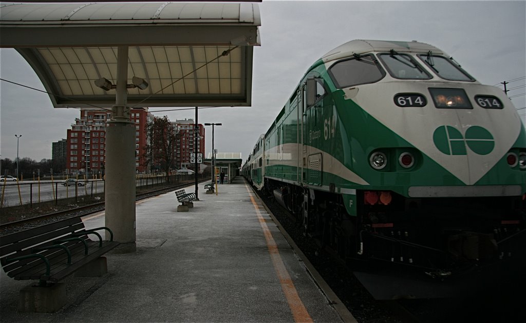 go go GO train
