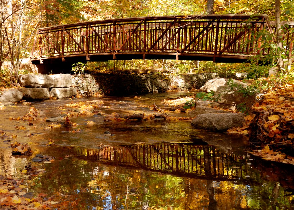 Bridge over Joshua Creek