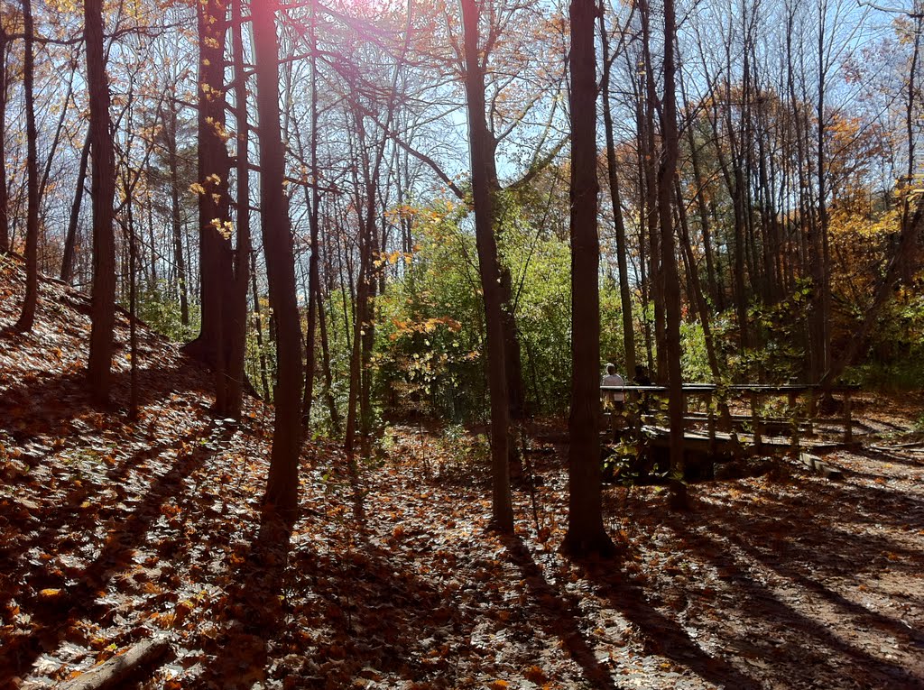 Oakville Park