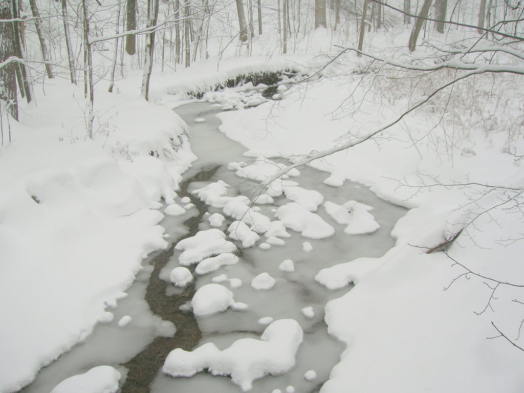 winterization