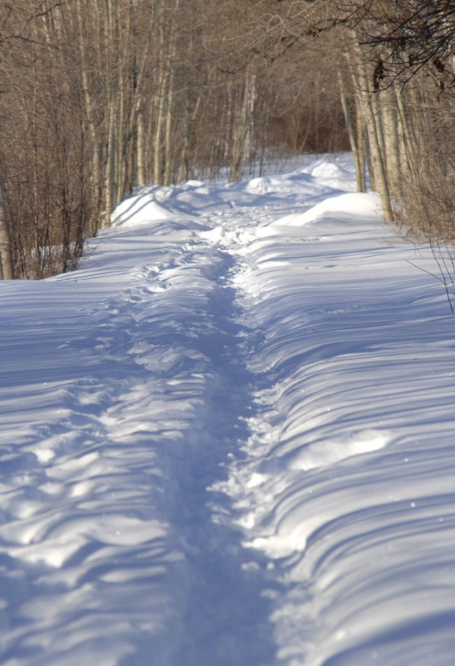 Early Morning on the Footpath, Orillia ON.