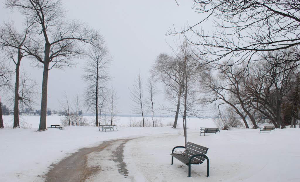 Beach in Snow