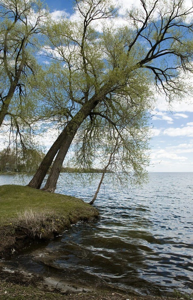 Orillia - Lake Simcoe from Kitchener Park