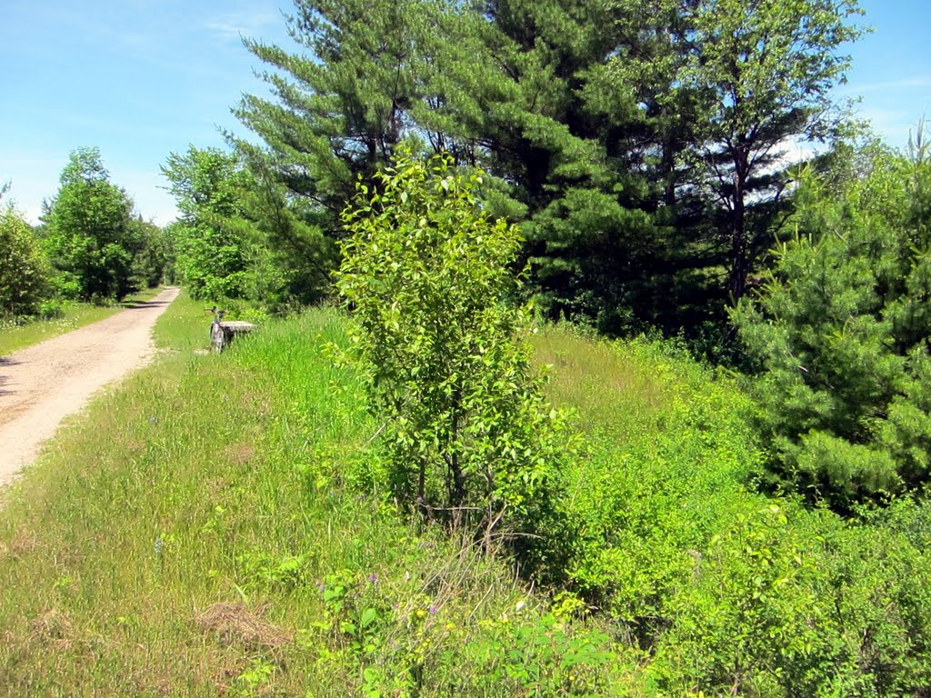 South to Port Orillia Bike Trail