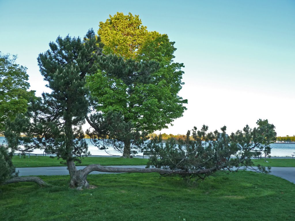 Couchicing Beach Park, Orillia
