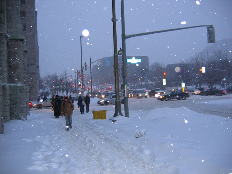 Snowy Elgin street