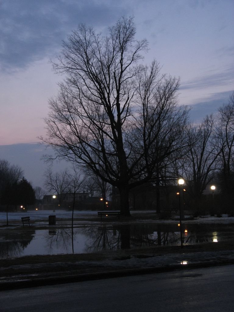 Reflecting pond - March 2007