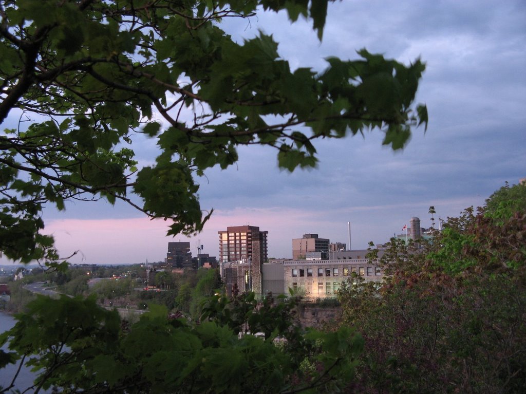 Balmy summer night