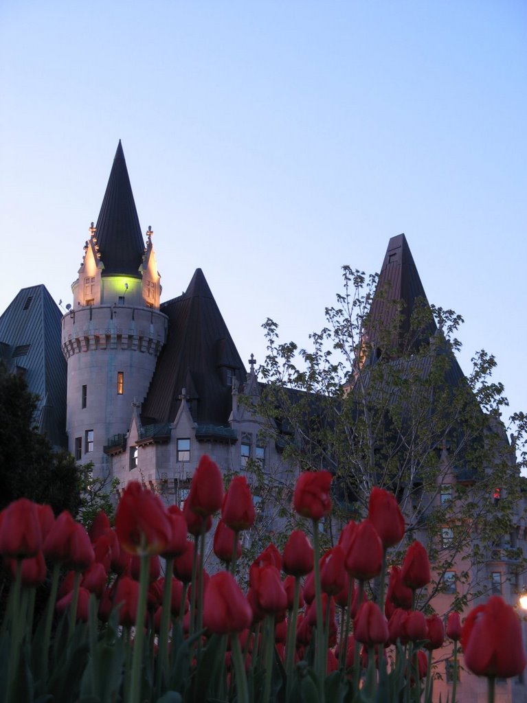 Tulips and Chateau Laurier