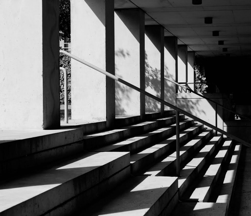Gallery of Shadows