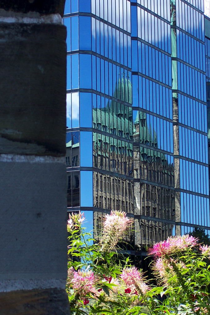 Reflection for Bruce  because he  saw it and for Alfred because he likes it!( Ottawa)