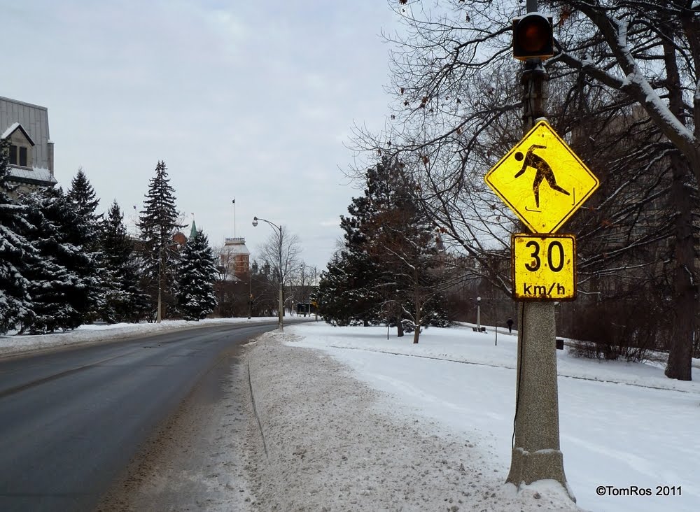 Road ice ahead - "Skating strongly recommended"