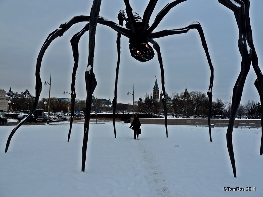 Monument to Canadian Mosquito - Life Size (Anopheles maculipennis)