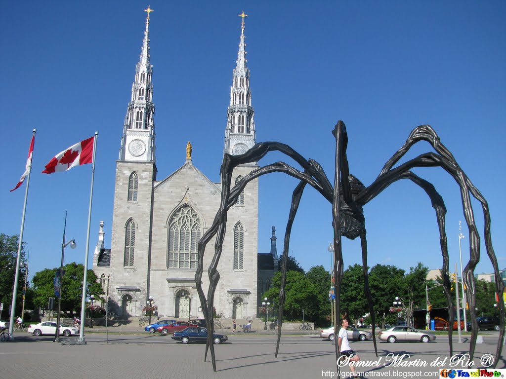 Ottawa, Canada http://www.goplanettravel.blogspot.com/