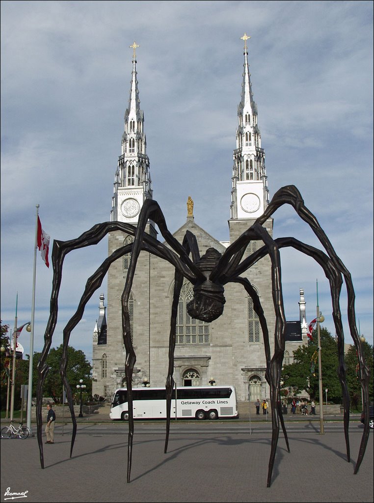 50928-61 CANADA OTTAWA