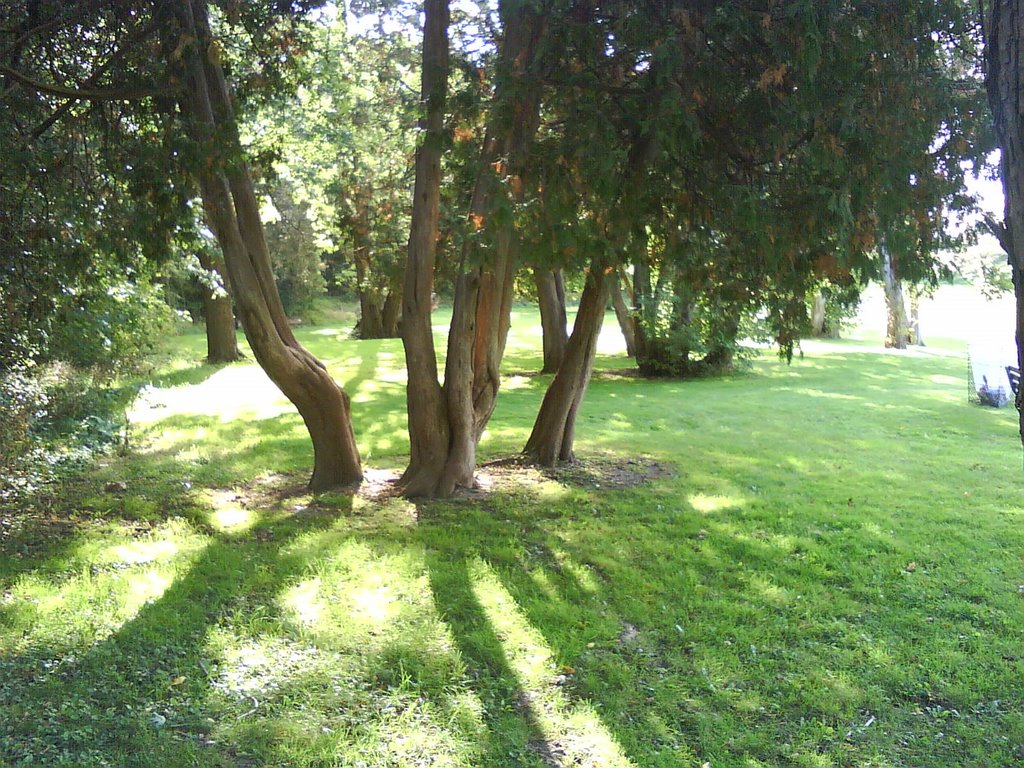 Nature Trail